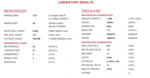 CBC and Urinalysis