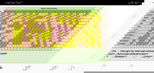 kalender cina menentukan jenis kelamin