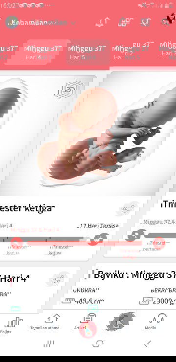 sebentar lagi lounching