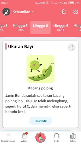 Bentuk janin