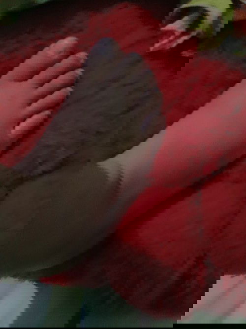 Ga sabaran mau ketemu si ddeknya