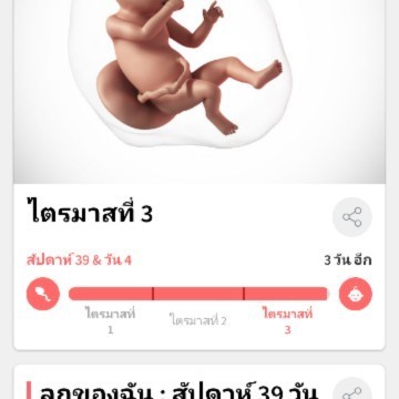 39+4