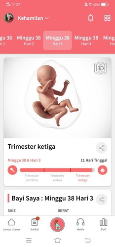 baby 38 weeks