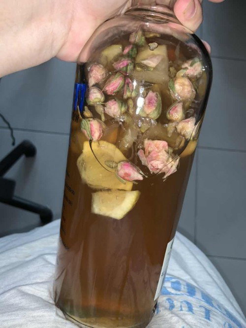 Kombucha