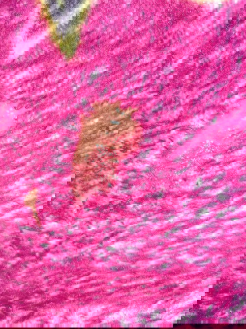 Bầu tuần 39 ngày3