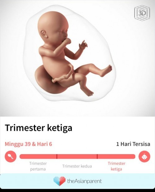 Menunggu gelombang cinta