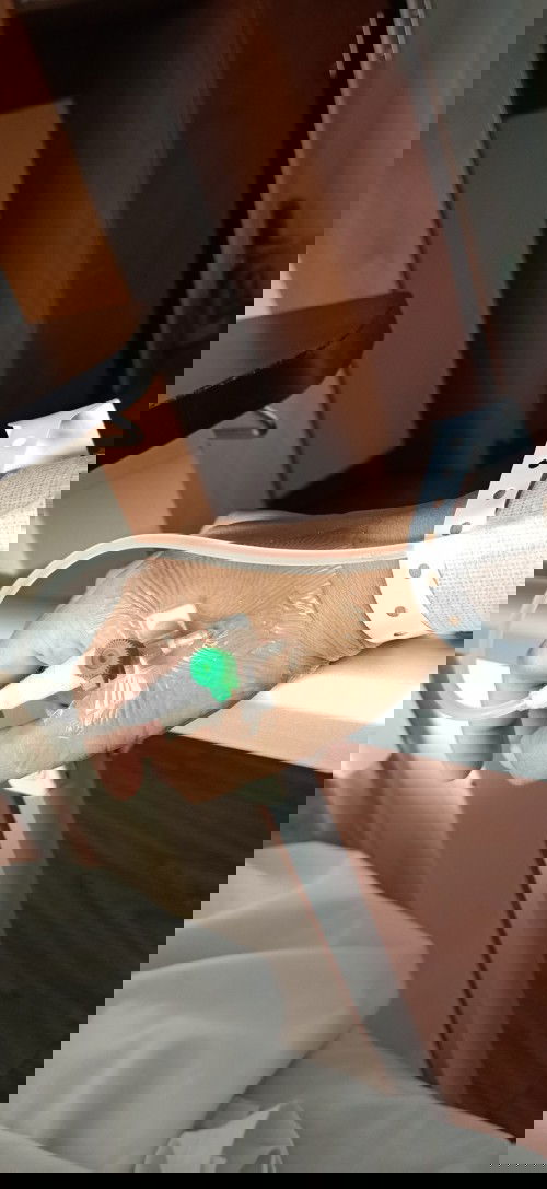 Gave birth at 34w and 4 days team September