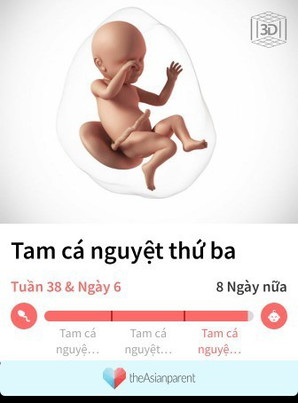 lâm bồn