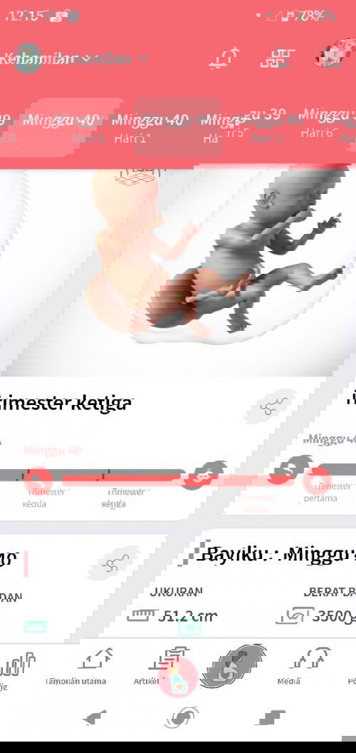 40w dedek msh anteng