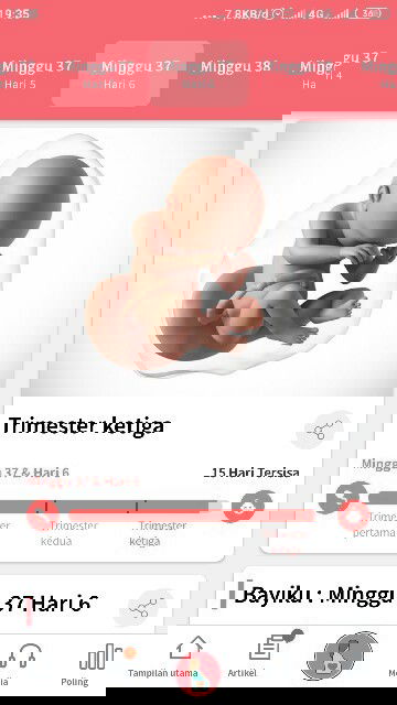 Menanti Gelombang Cinta Dektun