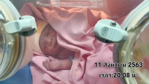 ทีมสิงหาคม