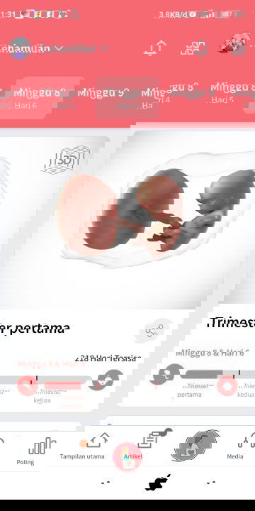 DropTrimesterPertama