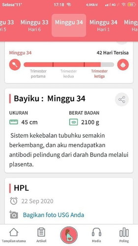 Bingung usia kandungan