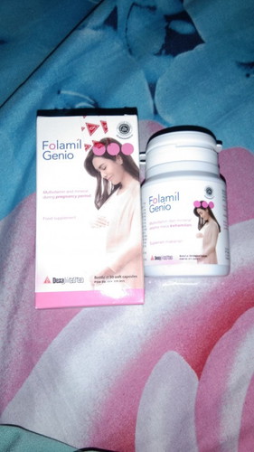 vitamin ibu hamil