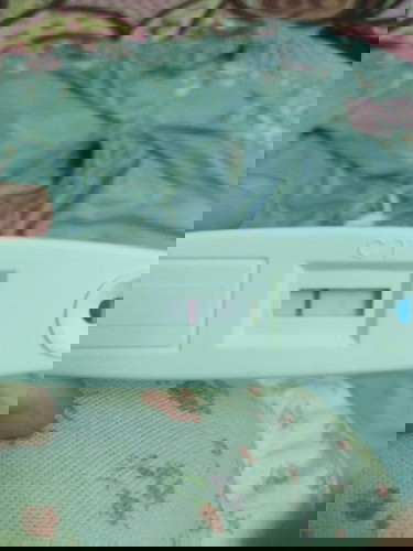 🌸🌸🌸🌸🌸🌸🌸🌸🌸🌸🌸