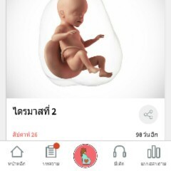 ขึ้นแบบนี้กี่สัปดาห์หรือกี่เดือน!