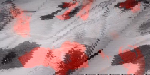 Pendarahan usia 37w6d tanda apa?