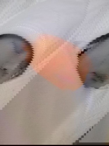 Jaazaniah Zayn Aguilar