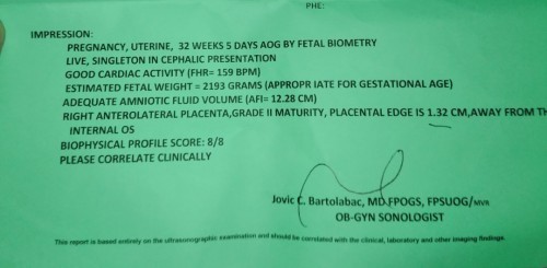Placenta P.