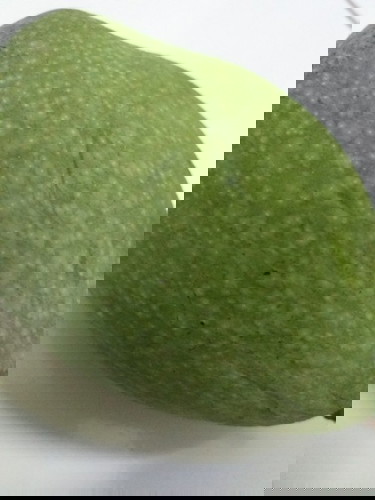 Hallo bunda π usia khamilan ku sekarang 9 week ...  boleh ga tiap hari makan mngga muda??? π€