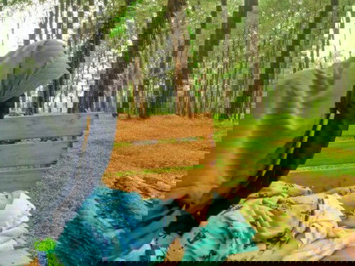 Dengan berkeluarga cita citaku terwujud