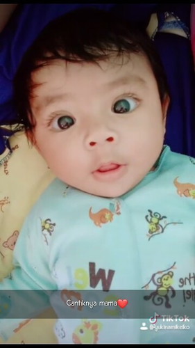 Kb 3bulan bikin gemuk?