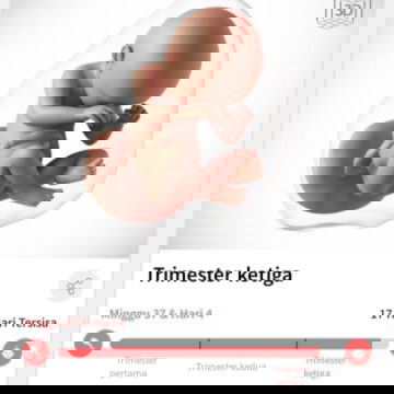 Cara agar cepat kontraksi