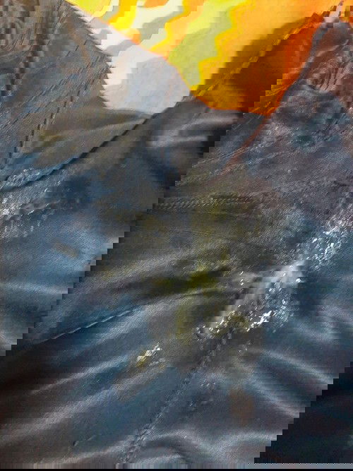 38วีค1วัน