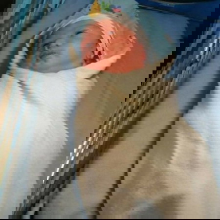 muntik ng ma-CS π’