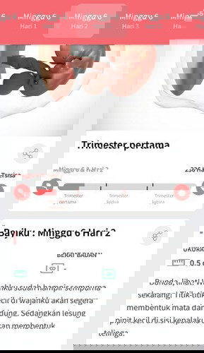 bun hamil muda baru 6 week adakah yg sudah nyicil perlengkapan bayi? apa benar kata nya pamali? hehe