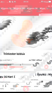 Janin saya sudah memasuki 4-5bulan