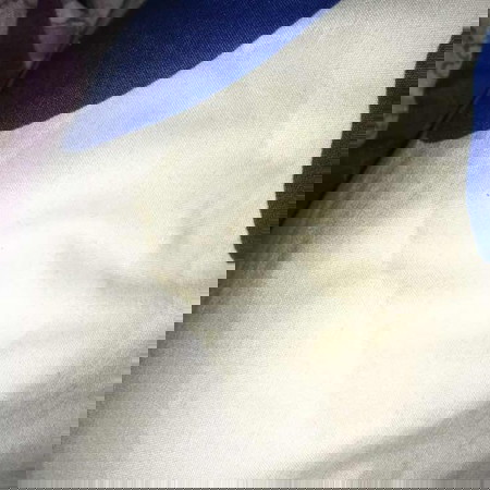 ท้อง39week มีน้ำใสๆเหมือนฉี่ไหลออกมา