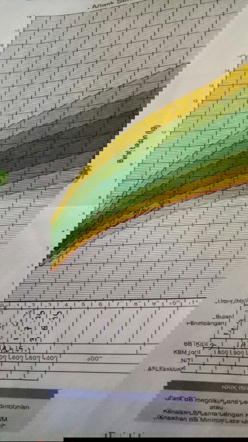 berat badan bayi