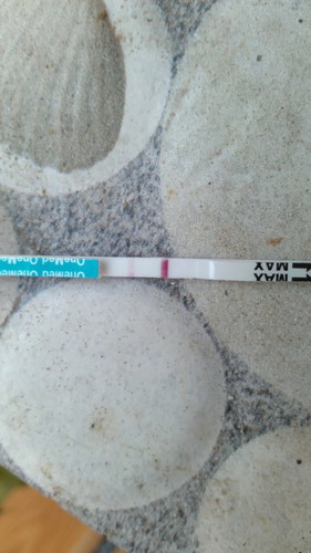 Telat haid 3mggu dan di tes garis dua yg satunya masih samar apkH itu hamil??