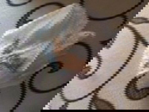 keluar flek usia 38w 6d