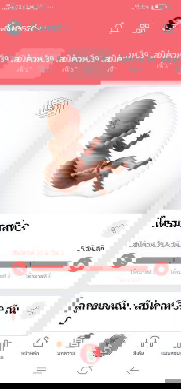 กำหนดคลอด.