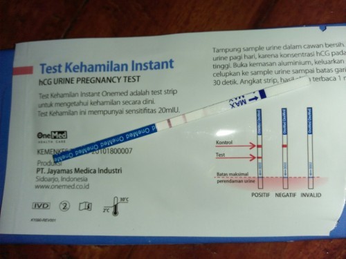 Kehamiln pertama