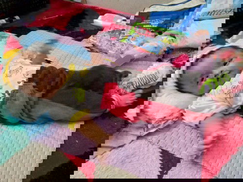 Bun anak saya usianya 3 bulan seminggu sekarang,, tp bn nya 5,7kg, cowok,, apakah itu normal????????