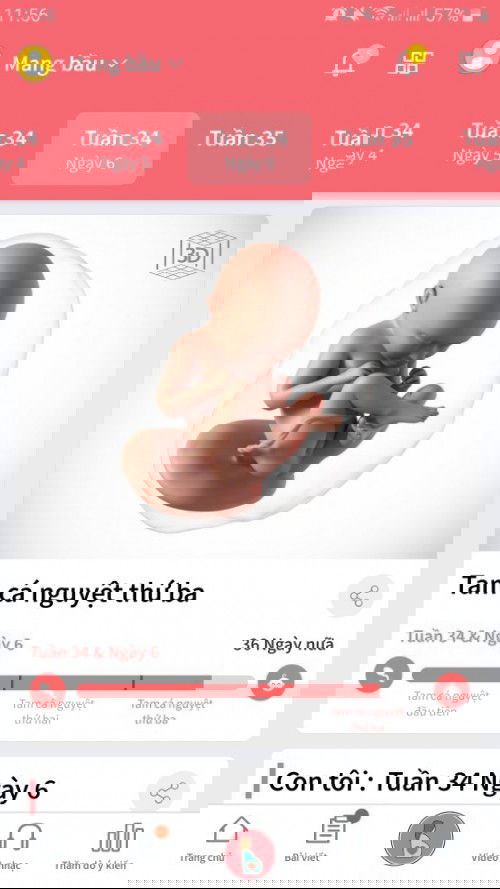 Chuột iu của mạ