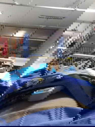 กลัวมากเลยค่ะ  33วีคอยู่เลย