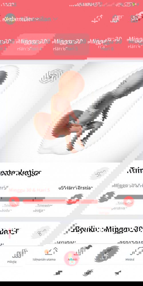 Usia kehamilan 30 minggu