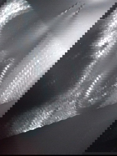 ช่วยดูเพศหน่อยค่ะว่าหญิงหรือชาย