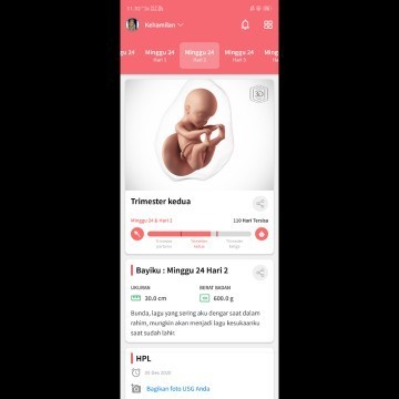24 weeks pregnant