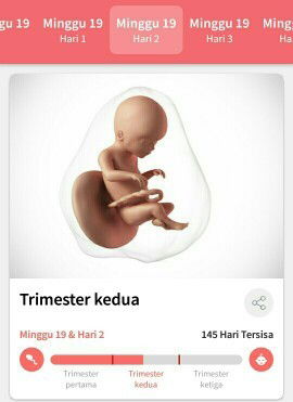 gerakan janin belum terasa
