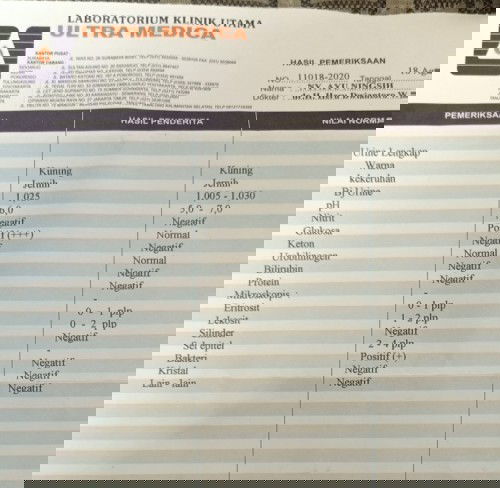 cara baca hasil test urin