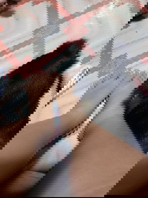 Ano best remedy sa pamamanas po?