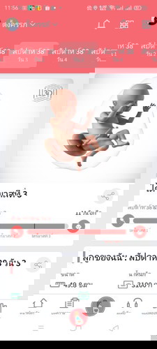 ลุ้นเพศเจ้าตัวเล็ก