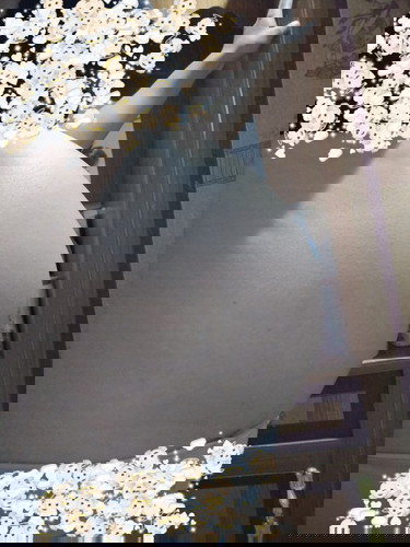 ทีมพฤศจิกาจ้า