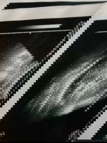 ขอความช่วยเหลือใครได้บ้างค่ะ