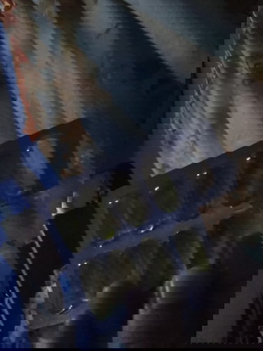 ??